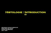 Histologie : Introduction - epathologies · Histologie : Introduction (2) Réalisation Gérard ABADJIAN Hôtel-Dieu de France. Faculté de Médecine . USJ - 2007
