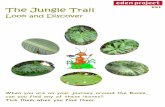 The jungle trail 2014 - Jungle Trail 2014.pdfآ  The Jungle Trail The Jungle Trail Look and Discover