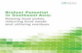 Biofuel Potential in Southeast Asia - us-cdn.creamermedia ...us-cdn.creamermedia.co.za/assets/articles/attachments/69296_irena... · Unless otherwise stated, material in this publication