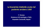 La leucemia mieloide acuta nel paziente anziano LAM · La leucemia mieloide acuta nel paziente anziano LAM F. Ferrara Divisione di Ematologia e TMO, Ospedale Cardarelli, Napoli
