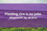 Magtanim ay ‘di biro. - unescap.org 2_Cham Perez_CWR.pdf · For 10 years, we were not able to go to our farms. It was very hard. Our rice container even had spiderwebs because it