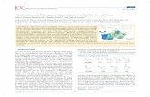 Mechanisms of Lactone Hydrolysis in Acidic Conditionsalquilnitrosos.usal.es/papers/JOC20132.pdf · Mechanisms of Lactone Hydrolysis in Acidic Conditions Rafael Gómez-Bombarelli,