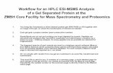 · Workflow for an HPLC ESI-MSMS Analysis of a Gel Separated Protein at the ZMBH Core Facility for Mass Spectrometry and Proteomics You bring the Coomassie or silver stained protein