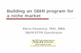 Building an SBIR program for a niche market · 2 . NIDA’s SBIR Program Positioning $25.3m in total funding Statutory authority: To conduct and support research …. with respect