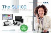The SL1100 - Southern Comms · The SL1100 Smart Communication for Small Businesses  s t o