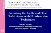 Evaluating the Axilla and Other Nodal Areas with Non ... · Evaluating the Axilla and Other Nodal Areas with Non-Invasive Techniques Nagi Khouri M.D. Associate Professor of Radiology