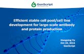 Efficient stable cell pool/cell line development for large ... stablecell line... · Make Research Easy CONFIDENTIAL 4 Stable Cell Line Generation Expression Vector Plasmid Construction