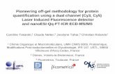 Pioneering off-gel methodology for protein quantification ...icim.marseille.inserm.fr/IMG/pdf/jp08j2-1-Dionex.pdf · Caroline Tokarski,1 Claude Netter,2 Jocelyne Tahar, 3 Christian