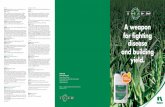 Puccinia sorghi turcica Cladosporium, Microdochium nivale ... · Tazer. is the first choice fungicide for use at the T2 (flag leaf – GS 39) and T3 (50% ear emergence to mid flowering