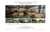A Vineyard and Winery Gem - spadoni.com · A Vineyard and Winery Gem Sebastopol, California Green Valley AVA A property of distinction presented by: Ken Spadoni Spadoni & Company