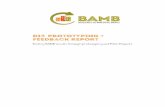 under grant agreement No 642384. - bamb2020.eu€¦ · under grant agreement No 642384. This project has received funding from the European Union’s Horizon 2020 research and innovation