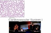 Cardiovascular System I - Cuyamaca College · Components of the cardiovascular system • Blood-fluid, carries gases, nutrients, hormones, heat, etc • Heart-pump, push the blood
