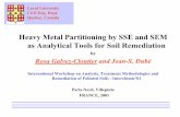 Heavy Metal Partitioning by SSE and SEM as Analytical ... · Heavy Metal Partitioning by SSE and SEM as Analytical Tools for Soil Remediation by Rosa Galvez-Cloutier and Jean-S. Dubé