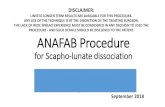 LIMITED LONGER TERM RESULTS ARE AVAILABLE FOR ... - … · ANAFAB Procedure for Scapho-lunate dissociation Assoc. Prof. Michael Sandow FRACS Wakefield Orthopaedic Clinic University