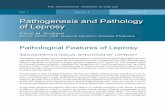 Pathogenesis and Pathology of Leprosy FINAL_0.pdf · The International Textbook of Leprosy Pathology Section 2 Clinical Aspects 3 non-M. leprae resistant, highly infected form of