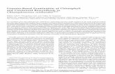 Genome-Based Examination of Chlorophyll and Carotenoid ... · Genome-Based Examination of Chlorophyll and Carotenoid Biosynthesis in Chlamydomonas reinhardtii1[w] Martin Lohr2*, Chung-Soon