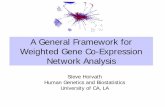 A General Framework for Weighted Gene Co-Expression ... · Using the TOM matrix to cluster genes • To group nodes with high topological overlap into modules (clusters), we typically