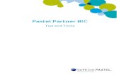 Pastel Partner BIC - Pastel Partner (BIC) consists of several modules : BIC Standard = Report Manager