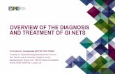 Overview of the Diagnosis and Treatment of GI Nets · A NET score (0–8) is derived from the PCR data Values ranged from 0 to 8; a value of >2 is a positive tumour score Reprinted