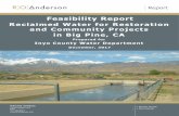 Feasibility Report - Inyo County Water Department · Report Feasibility Report Reclaimed Water for Restoration and Community Projects in Big Pine, CA Prepared for Inyo County Water