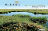 THE BACK RIVER PROJECT · SABINA GOLD & SILVER CORP. i Executive Summary Sabina Gold and Silver Corp. (Sabina) has prepared a Project Proposal and permit applications for the