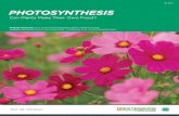 PHOTOSYNTHESIS - extension.tennessee.edu · Photosynthesis, Oxygen, Chlorophyll, Carbon Dioxide, Chloroplasts, Stomata Now that you have explained the process of photosynthesis, have