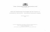Acinetobacter calcoaceticus Acinetobacter baumannii complex371463/s4250513_phd_submission.pdf · Acinetobacter haemolyticus, Acinetobacter johnsonii, Acinetobacter lwoffii and Acinetobacter