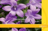 Perennial - syngentaflowers-us.com · 5.5–6.5 1.0–1.5 50–75 or 150 as needed B-Nine® (S) 2500–3750 ppm, Cycocel® (S) 500–1000 ppm Aphids, Spider Mites, Whiteﬂies, Botrytis,