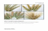 2017 Small Grains Report - extension.uidaho.edu · 2017 Small Grains Report Southcentral and Southeast Idaho Cereals Research & Extension Program. Juliet Marshall, Chad Jackson, Tod