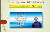 The Soul Language Channel · Associated with the Pineal Gland (The pineal gland produces melatonin, a serotonin derived hormone which modulates sleep patterns in both circadian and