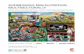 ADDRESSING MALNUTRITION MULTISECTORALLY - MDG Fund malnutrition... · nutrition in art, and Delwar Hussain and his daughter Nafisa for their active role in transforming this idea