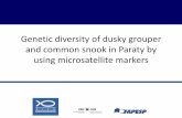 Genetic diversity of dusky grouper and common snook in ...umanitoba.ca/institutes/natural_resources/Brazil/brazilpdf/Priolli... · Microsatellite or Simple Sequence Repeat (SSR) –high