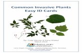Common Invasive Plants Easy ID Cards - dnr.maryland.gov · Common Invasive Plants Easy ID Cards Larry Hogan, Governor Jeannie Haddaway-Riccio, Secretary Wildlife and Heritage Service
