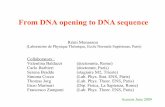 From DNA opening to DNA sequence - Institut Camille Jordanmath.univ-lyon1.fr/~jberard/Monasson-cours-1.pdfFrom DNA opening to DNA sequence Collaborators : Valentina Baldazzi (doctorante,