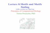Lecture 8:Motifs and Motifs finding - National Center for ... · Lecture 8:Motifs and Motifs finding (with a section on Chip-Seq) Principles of Computational Biology Teresa Przytycka,