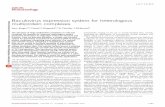 Baculovirus expression system for heterologous ...ubio.bioinfo.cnio.es/data/crystal/local_info/vectors/MultiBac1.pdf · Baculovirus expression system for heterologous multiprotein