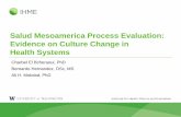 Salud Mesoamerica Process Evaluation: Evidence on Culture ... 1_Panel 3_PPT 1... · Salud Mesoamerica Process Evaluation: Evidence on Culture Change in Health Systems Charbel El Bcheraoui,
