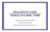 PALLIATIVE CARE GOALS of DNR - chsbuffalo.org · PALLIATIVE CARE GOALS of CARE: DNR ... • Hospice care is a subset of palliative care for terminally ill patients who are stopping/not