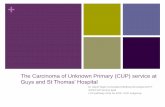 The Carcinoma of Unknown Primary (CUP) service at Guys and ... · The Carcinoma of Unknown Primary (CUP) service at Guys and St Thomas’ Hospital Dr Sarah Ngan Consultant Medical