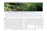 1.10 Wasserhaushalt bewaldeter Einzugsgebiete V G & C b · 1. LEBENSELIXIER WASSER – betrachtet aus der Sicht von Natur- und Gesellschaftswissenschaften typisch für gemäßigte