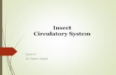 Insect Circulatory System - fac.ksu.edu.safac.ksu.edu.sa/sites/default/files/insect_circulatory_system_1.pdf · Circulatory system & Circulation in insects Insects have an open circulatory
