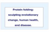 Protein folding: sculpting evolutionary - faseb.org Lindquist Lecture 2009.pdf · Kyowa Hakko Kogyo* Synta* Infinity/Medimmune* Sanofi-Aventis Merck Others?? June 2008 Hsp90 Inhibitors: