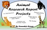 Animal Research Report Projects - 3rd Grade · Animal Research Report Projects By Kennedy’s Korner Compare and Contrast Project . Table of Contents Project # 1 Pyramid Animal Research
