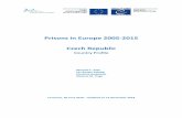 Prisons in Europe 2005-2015 Czech Republic - wp.unil.chwp.unil.ch/space/files/2018/12/Czech-Republic.pdf · Prisons in Europe 2005-2015 Czech Republic Country Profile Marcelo F. Aebi