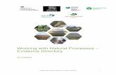 Working with Natural Processes – Evidence Directory · Working with Natural Processes – Evidence Directory iv Executive summary Working with Natural Processes (WWNP) aims to protect,