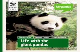 RS 12 y Pandas in numbersawsassets.wwfhk.panda.org/downloads/wwf_animals_panda_may2012_eng.pdf · My pandas Pandas in numbers 60+ Pandas munch on more than 60 different species of