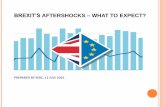 BREXIT’S AFTERSHOCKS WHAT TO EXPECT? · EU would hamper the inflows of investment in Malaysia. * Excludes the UK . MALAYSIA-EU’STRADE AND INVESMENT LINKS (CONT’D) 14 EU investors’portfolio