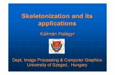 Skeletonization and its applications - Informatikai Intézet · Skeletonization and its applications Kálmán Palágyi Dept. Image Processing & Computer Graphics University of Szeged,