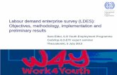 Labour demand enterprise survey (LDES): Objectives ... · 1. Collect in-depth information concerning the labour market situation of young men and women and quantify the relative ease