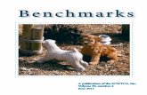 Benchmarks - June 2011 - scwtca.org · Benchmarks . volume 39 . number 2 . page 2 Officers and Directors of the Soft Coated Wheaten Terrier Club of America, Inc. Table of Contents